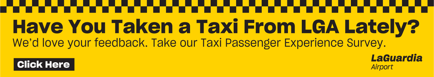 Image - Taxi Passenger Survey