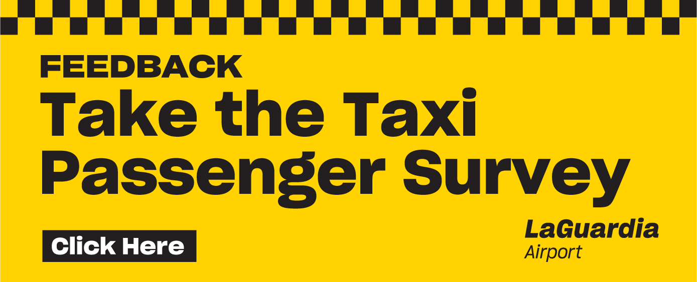 Taxi Passenger Survey